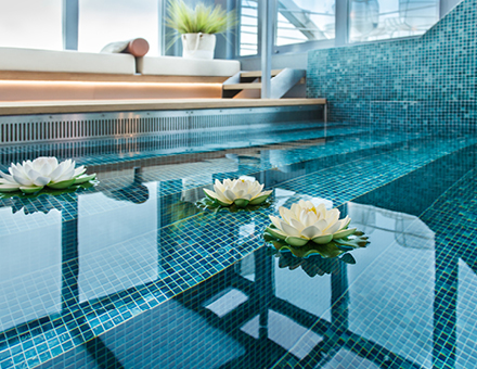 Rapsodia del Danubio