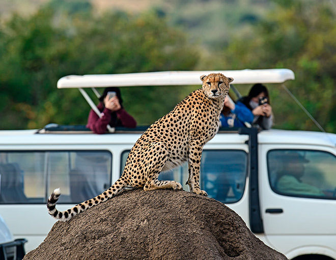 Superoferta Safari en Kenia