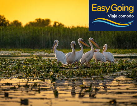 Rumanía: el encanto de los Cárpatos y el Delta del Danubio