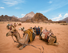 Jordania con Petra y Wadi Rum