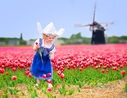 París y La Ruta del Benelux (inicio Ámsterdam)