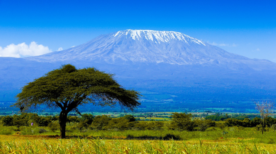 Monte Kilimanjaro, el techo de África - Panavisión Tours